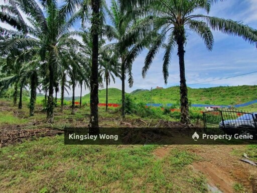 Sungai Siput Jalong Perak Freehold 8.3 Acres Agriculture Land Flat & Sloppy Land
