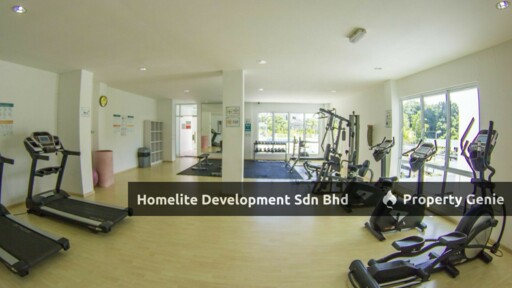 Homelite Eco Park