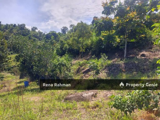 Agricultural Land in Rasah Kemayan Seremban