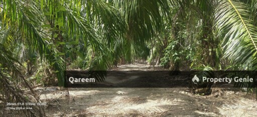1.5 Ekar Sungai Burong Sekinchan Sabak Bernam