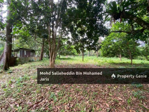 [FREEHOLD] Tanah Pertanian Mukim Beserah