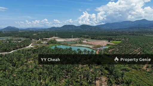 Kanthan Chemor, Ipoh. Agriculture Land 25 Acres