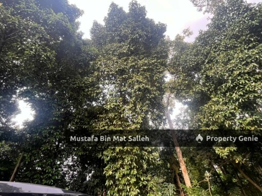 [Tanah Zon Kampung] Kg Air Melintas Besar, Tasek Gelugor