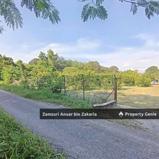 Kebun Harumanis Chuping Perlis