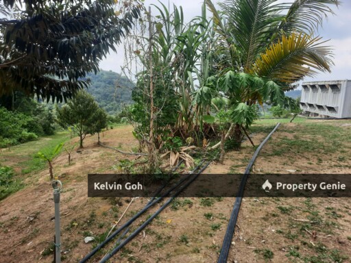 10 Acres Agriculture Land Freehold Temiang Seremban