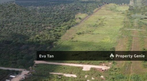 Pekan Nenas Industrial Land