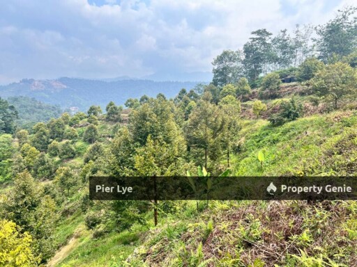 Bentong