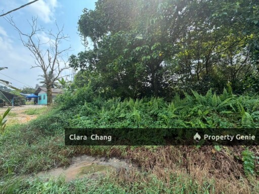Beside Second Link Tuas 4acres Residential Land