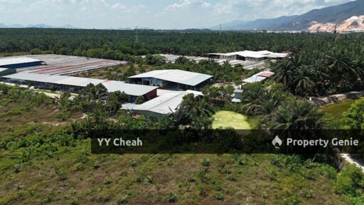 Kanthan Chemor, Ipoh. Agriculture Land 25 Acres