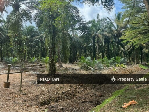 Pontian Land Beside Main Road Skudai - Pontian Highway