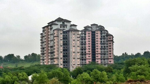 SAUJANA ASTER