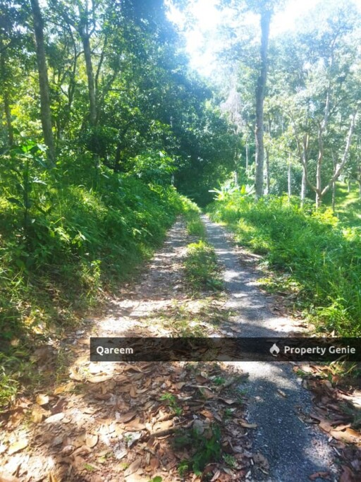 Dusun Durian Kampung Hulu Tamu Batang Kali