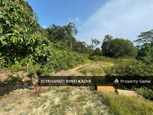 (HOT AREA) TANAH KEBUN DI BUKIT KUIN 2, KUANTAN