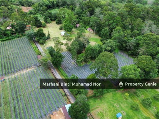 Tanah Sungai Lui @ Hulu Langat