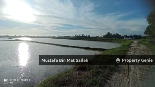 [1ST GRADE] Tanah Bendang, Permatang Kerai Besar, Kepala Batas, Pulau Pinang