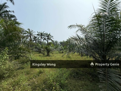 Sungai Siput 2 Acres Land Road Side Land Flat Land