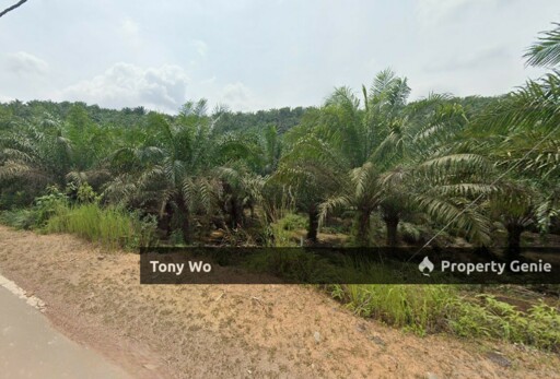Mersing , Johor