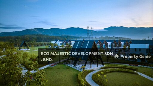 Eco Forest