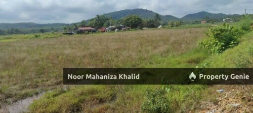 Tanah Pertanian Batu Tambun, Mukim Rambai Kedah