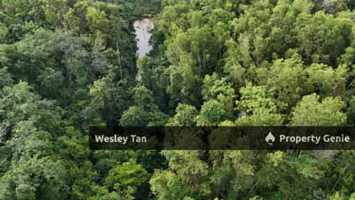 Tampin 8.7acres Agri Land Suitable for Residential Development Status Tiada with River Inside