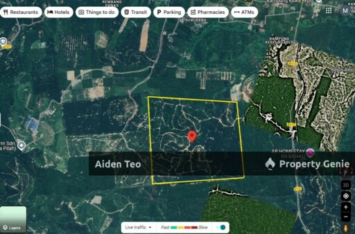 Oil Palm For Sale Negeri Sembilan For Sale
