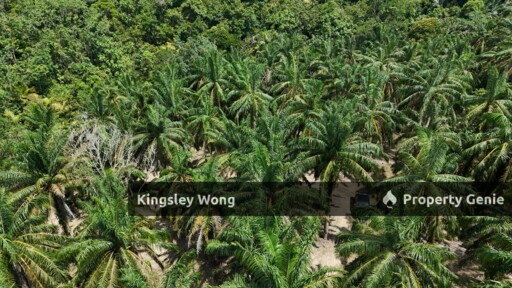 Sg Siput Perak Freehold Oil palm Agricultural land 3.5 acres  Slope land