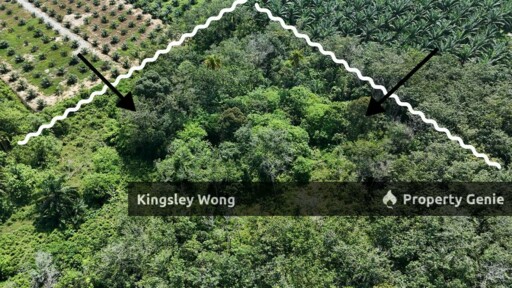 Sungai Siput RE road Freehold 11 Acres Agricultural Land Suitable Poultry farm