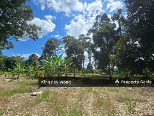 Manong, Kuala Kangsar, Perak Freehold 4.18 Acres Durian Farm  Agricultural Land