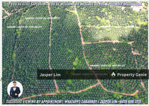 Kunak - Semporna Plantation Flat Land