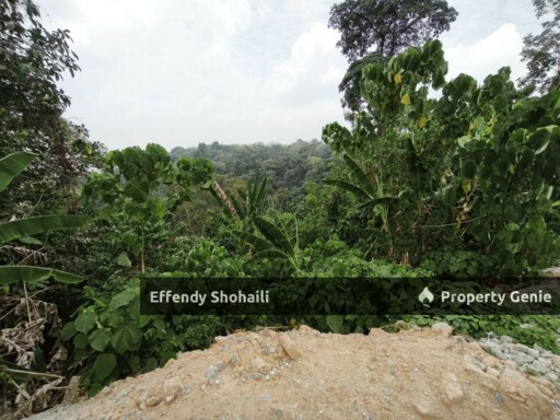 SERDANG SERI KEMBANGAN AGRICULTURAL LAND