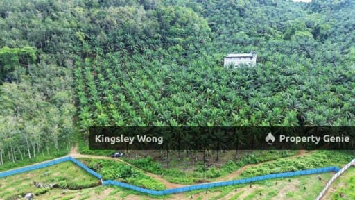 Sungai Siput Jalong Perak Freehold 8.3 Acres Agriculture Land Flat & Sloppy Land