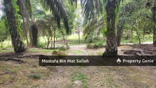 [FREEHOLD] 2 Lots, Kampung Terap Batu 12, Kulim