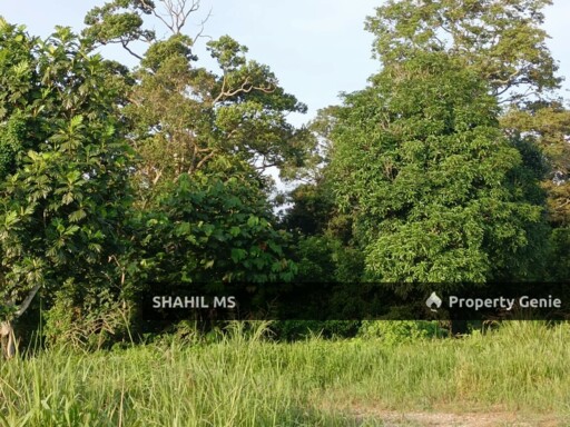 PASIR GUDANG JOHOR || FELDA CAHAYA BARU || TANAH PERTANIAN || 7.075 EKAR || RM2,190,000