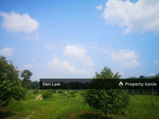 Raub Sungai Ruan Durian farm for sale !!