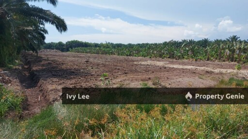 Serkat Pontian Kukup Johor Agriculture Land For Sale