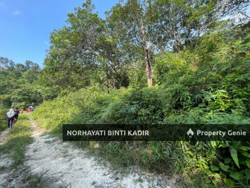 (HOT AREA) TANAH KEBUN DI BUKIT KUIN 2, KUANTAN