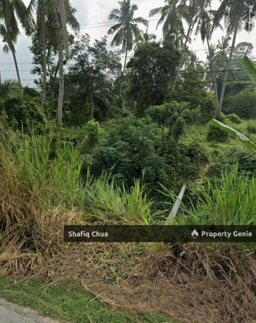 Agriculture Land for Rent in Jeram, Kuala Selangor