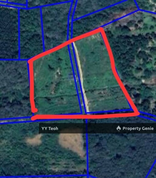 Agriculture Land Durian Tree @ Machap Alor Gajah