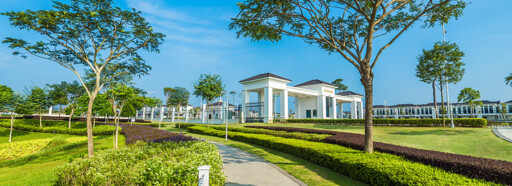 Eco Tropics