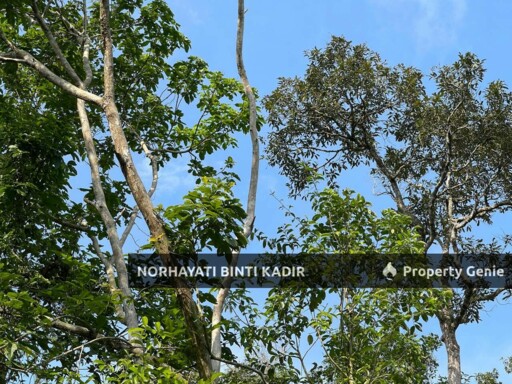 (HOT AREA) TANAH KEBUN DI BUKIT KUIN 2, KUANTAN
