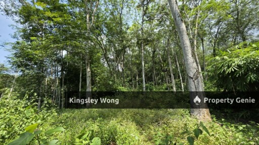 Kati, Kuala Kangsar Freehold Agricultural Land 6.1 Acres Agricultural Land