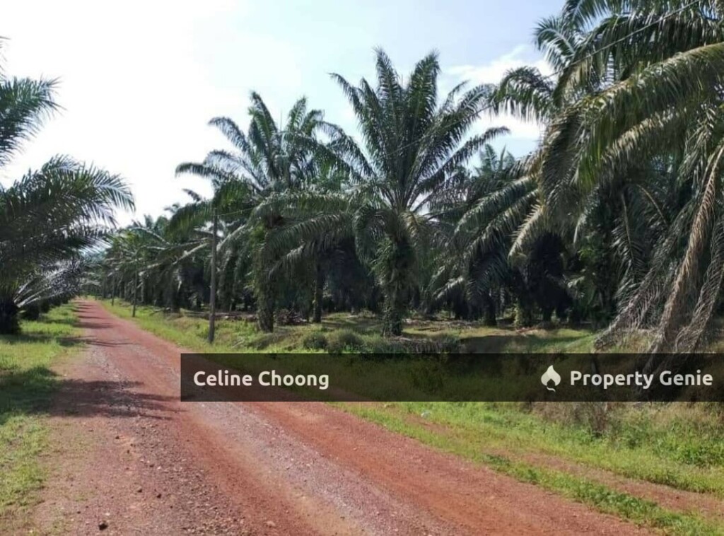 Selangor , sungai besar