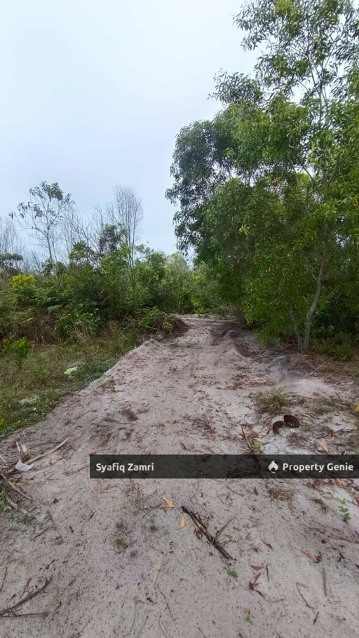 TANAH LOT BANGLO CEMPAKA KUANTAN UNTUK DIJUAL