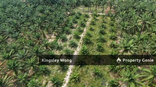 Sungai Siput 2 Acres Land Road Side Land Flat Land