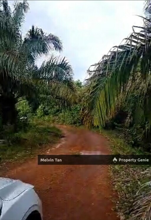 Bertam Ulu -  Sungai Udang Agriculture Land