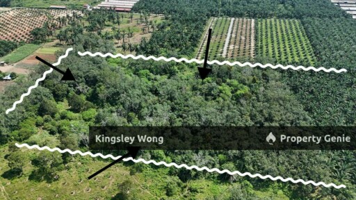 Sungai Siput RE road Freehold 11 Acres Agricultural Land Suitable Poultry farm