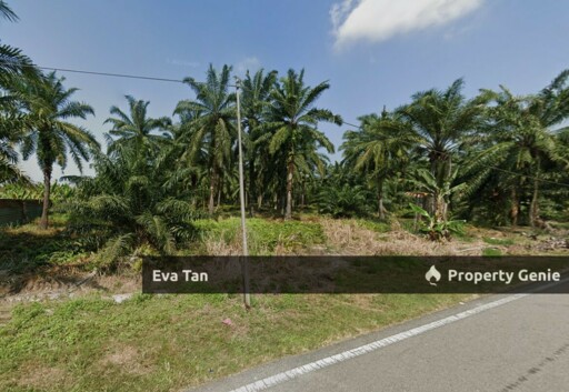 Telok Panglima Garang Industrial Land