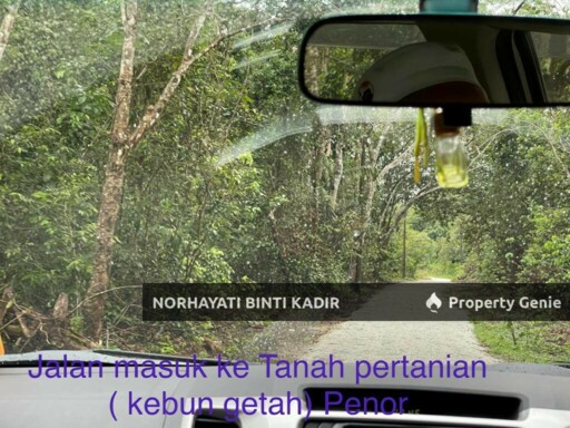 TANAH PERTANIAN KEBUN GETAH 7.5 EKAR DI PENOR