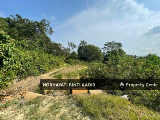 (HOT AREA) TANAH KEBUN DI BUKIT KUIN 2, KUANTAN