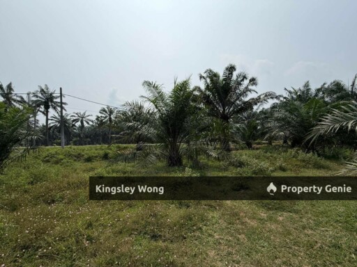 Sungai Siput 2 Acres Land Road Side Land Flat Land